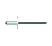 Gesipa Gesipa rivets aveugles aluminium/acier grande tête 4,8 x 8 K 16 Quantité:250