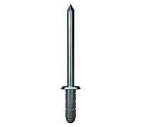 GESIPA Lot de 100 rivets aveugles en aluminium Ø 3,2 x 11,0 mm PolyGrip® | Épaisseur du matériau riveté : 3,08,0 mm | Rivets de qualité industrielle | Achetez des rivets creux des professionnels de