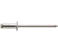 Gesipa Rivets aveugles acier/acier 5 x 25 250 pces