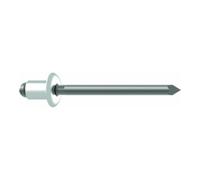 Gesipa Rivets aveugles Gesipa Alu/Nirosta 5 x 20 Quantité:250