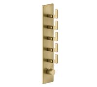 Gessi Inciso- Kit de pré-montage pour thermostat encastré 3/4 haute performance, une rosace, montage vertical, 5 voies séparées, 58210727, Couleur: Laiton brossé PVD