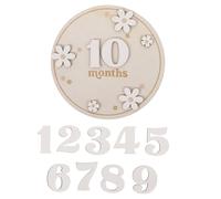 GETAJGHSD Panneaux en Bois Chambre D'garçon et Filles Surface Lisse et Bords sans Aspérités, Disques Mensuels pour Bébé, pour Décoration la Maison ou Fête