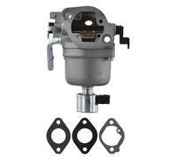 Getdoublerich Carburateur 699807 Kit de glucides pour moteur 406577 407577 697722 20 HP