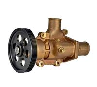 GFJHFDCR Pompe à Eau Brute 3589907 21380890 JMP JPR VP0060DA 50394 8300 50394 8100, Compatible avec Moteur Marin Penta D6