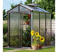 GFP Pro 161 x 235 cm Serre de jardin, aluminium, incl. kit d'accessoires Pro 2 - (GFPV00145)