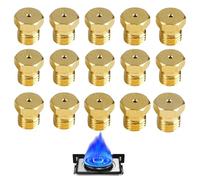 Gicleur gaz Butane Universels, 15 Pcs Gicleur gaz de ville, Jeu de Conversion pour GPL pour Gazinière, Injecteur gaz butane pour Cuisiniere Gaz Four Gaz(0.5/0.65/0.7/0.87/0.90/0.95/1.02)