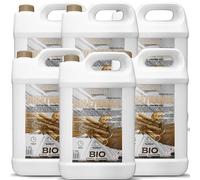 GiDeli Bioéthanol 6 x 5 l, parfum cannelle, 96,6 % éthanol, pour intérieur et extérieur, sans fumée ni suie, à base de maïs et de betterave sucrière