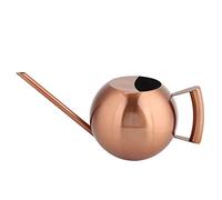 Gießkanne 1L Metall, Arrosoir Plante Interieur, Acier Inoxydable Or Rose à Long Bec, Gießkanne Zimmerpflanzen Metall, Design Moderne pour Intérieur, Balcon et Terrasse, Facile à Nettoyer