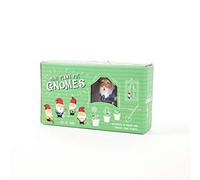 Gift Republic GR450112 Gnomes Pot de Fleurs Multicolore 8 x 14 x 3,5 cm
