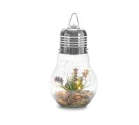 Giftdecor Ampoule Lavande Guirlande LED Mixte Cristal Transparent Vert 14x29x14cm - Piles Non Incluses (Set de 8)