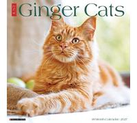 Ginger Cats 2027 Wall