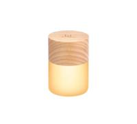 Gingko Design Veilleuse RVB 7 couleurs changeantes, hauteur 6 cm, longue durée de vie de la batterie rechargeable USB, 2 modes d'éclairage, certifié FSC (cendres blanches), G026