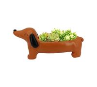 Gipsiera Bassotto Vase pour en résine juteuses, Pot de Fleurs décoratif en Forme de Chien Teckel, Vase décoratif intérieur avec Design créatif, Mini Cent pour Grasses, avec