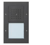 GIRA 126667 Audio-Intercom-System Anthrazit (126667)