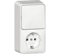 GIRA 4176 13 - Interrupteur à bascule/prise de mise à la terre 16 A 250 V~