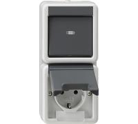 GIRA 417630 Kombi AusWe/SCHUKO senkr. KD (417630)