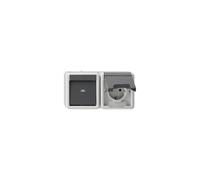 GIRA 417730 Combinaison interrupteur à bascule/prise SCHUKO 16 A 250 V ~ horizontal avec couvercle rabattable Interrupteur marche/arrêt universel Gris