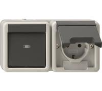 GIRA 417730 Kombi AusWe/SCHUKO waager. K (417730)