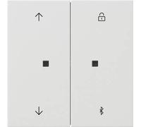GIRA 5367112 S3000 Interrupteur de surface pour stores et minuterie Bluetooth rw (5367112)