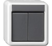 GIRA Bouton-poussoir BA double 2 points WG 516230 AP gris