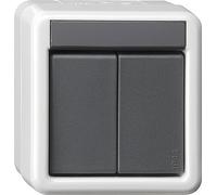 Gira Bouton-poussoir KNX 2-voies 2-points pour montage en saillie Gris - 516230
