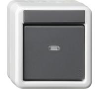 Gira Bouton-poussoir KNX BA simple gris AP 2 points 515230