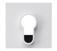 Gira Gira Cache interrupteur à clé 866403 blanc pur brillant Quantité:1
