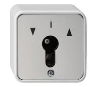 Gira Gira Interrupteur à clé à 2 pôles, AP-WG 014430 Quantité:1