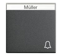 Gira Gira Interrupteur de sonnette anthracite avec inscription, System55 067328 Quantité:1