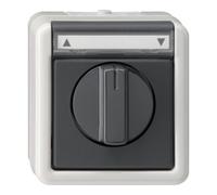 Gira Gira Interrupteur/poussoir volet roulant grAP-WG 015430 Quantité:1