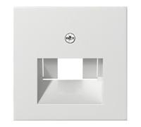 Gira Gira Module central rws-gl pour connexion UAE-IAE 027003 Quantité:1