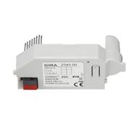 Module Gira KNX, RWM, Dual KNX, 1 pièce.