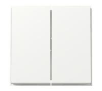 Gira Gira Plaque double (WG UP) blanc pur 329566 Quantité:1