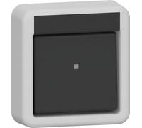 Gira IP44 Interrupteur À Bascule Deux Pôles En Surface Gris - 310235