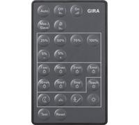 Gira Ir Télécommande Pir 3 Pour Capteurs De Mouvement Sensotec - 237300
