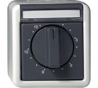 Gira Minuterie Pour Montage En Saillie Protégée Contre Les Projections D'eau Pour L'appareillage De Commutation - 032030