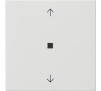 Gira Panneau deradiofréquence Flèches blanc pur 549403 (549403)