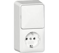 GIRA Prise de courant SCHUKO 417613 Kombi AusWe senk.AP RW (417613)