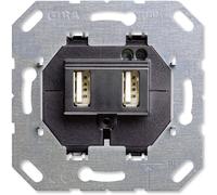 Gira Prise Murale 2-fois Noir USB Tension Régl. 235900 (655)