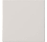 Gira S3000 Commande système 55 536027 blanc pur m, Bouton + interrupteur, Blanc