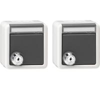 Gira Set 2x SCHUKO KD serrure identique + BSF WG AP 456030 (456030)