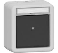 GIRA Wippschalter 311630 Kontroll AusWe BSF WG AP gr (311630)