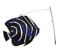 Girouette à planter - Premier kite - Poisson coréen Multicouleur G