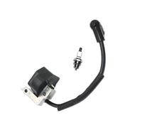 GKBJHGPAXL Module de Bobine d'allumage BM6A adapté for Dolmar LT-30 | Débroussailleuse tondeuse désherbant pièces MS-30 MS-31 for Makita DST300 DBC300 369143010