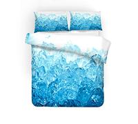 Glace Neige Fleur Parure de Lit 3 Pièces Ensemble de Literie Bleu Blanc Hiver Glaçon Modèle Fermeture à Glissière Housse de Couette et Taie D'oreiller en Microfibre Douce (Figure 5,220_x_240_cm)