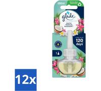 Glade - Recharge d'huile électrique - Fleurs tropicales exotiques - Sans support - Pack avantage - 12 pièces