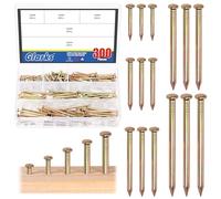 Glarks 300pcs 20/30 / 40/50 / 60mm brique acier clous Kit, coloré Zinc acier au carbone Hardware clous, clous de finition, Brad et picture suspension clous, clous en bois, ciments clous