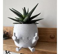 Glimlachender Pflanzenpot mit Mittelfinger - Pot de fleurs pour succulentes et plantes vertes Décoration - Mini pot Décoration de table pour les amateurs de plantes d'intérieur