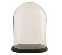 Globe ovale en verre largeur 20 cm - Profondeur 12 cm hauteur : 20 cm