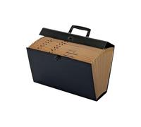 Globe-Weis/Pendaflex Globe Weis 19-Pocket File Express Case (11170) (Colors May Vary),Assorted Colors